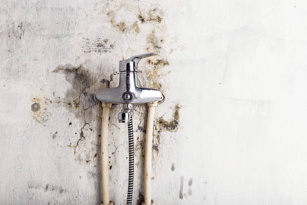 Best Mold Testing  in Leesburg, VA