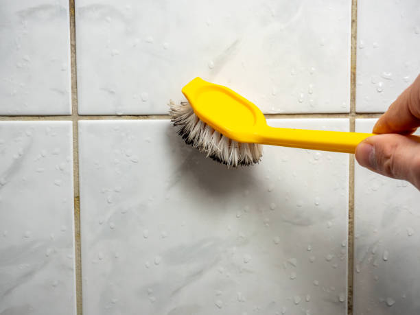 Best Mold Removal Near Me  in Leesburg, VA