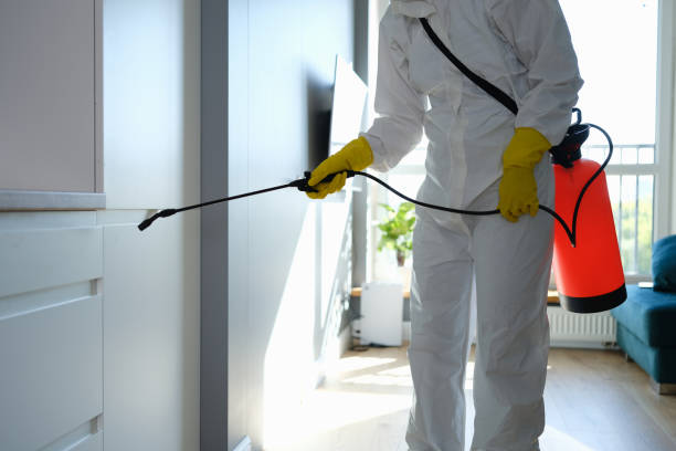 Best Certified Mold Removal  in Leesburg, VA