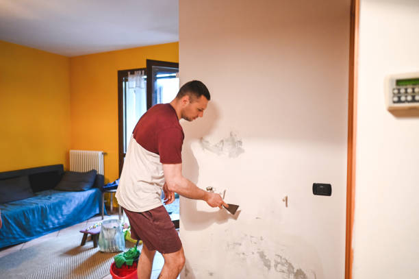  Leesburg, VA Mold Removal Pros
